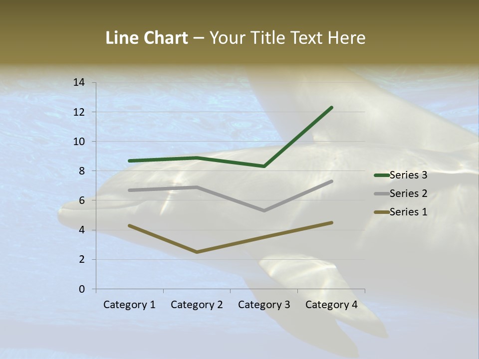 Delphine Pool Mular PowerPoint Template