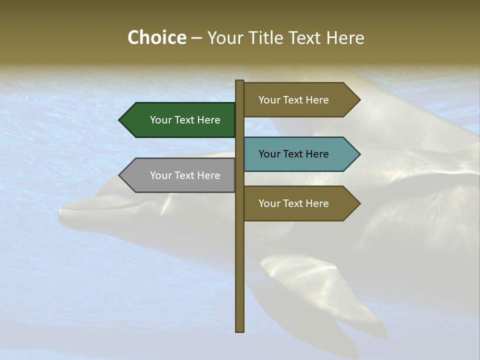 Delphine Pool Mular PowerPoint Template