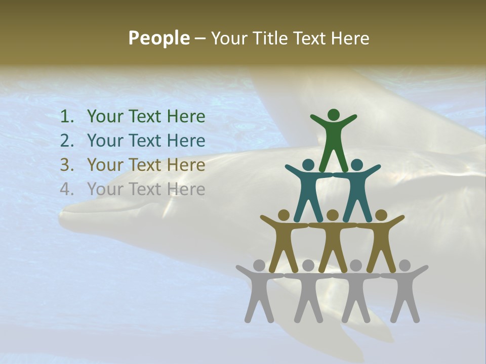 Delphine Pool Mular PowerPoint Template