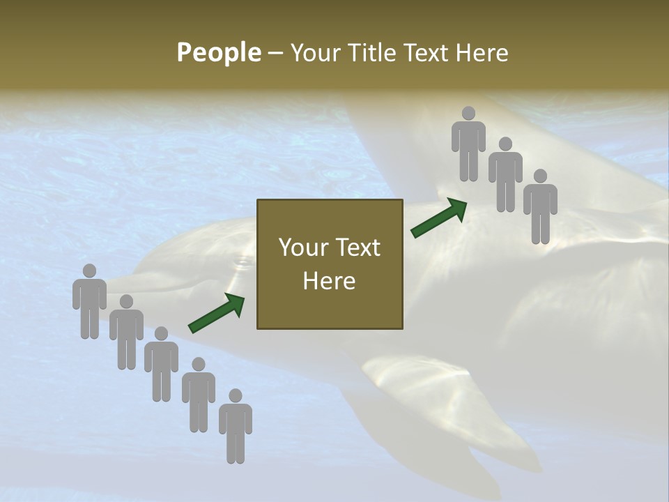 Delphine Pool Mular PowerPoint Template