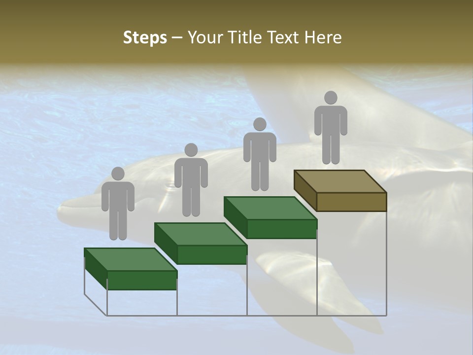 Delphine Pool Mular PowerPoint Template