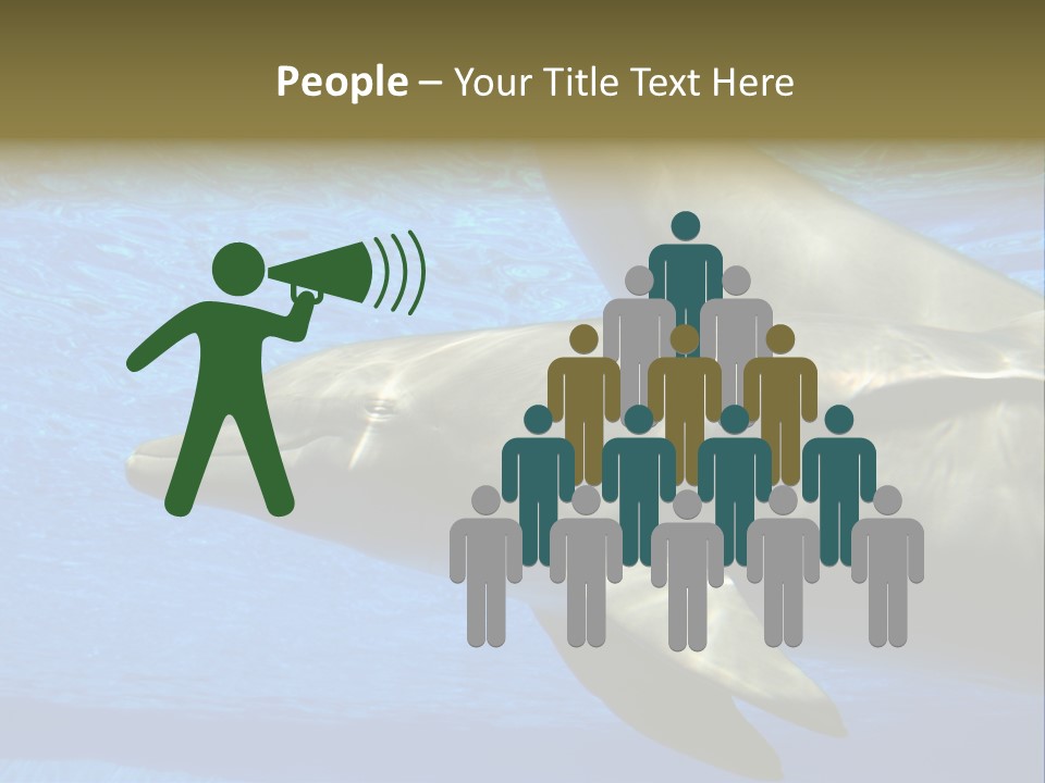 Delphine Pool Mular PowerPoint Template