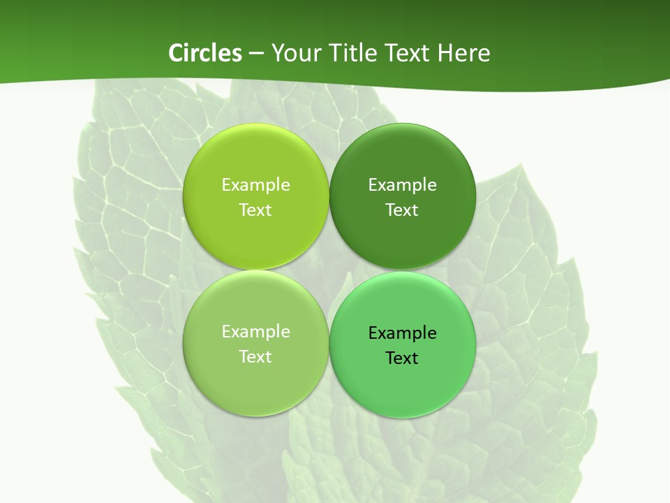 Background Shot Food PowerPoint Template