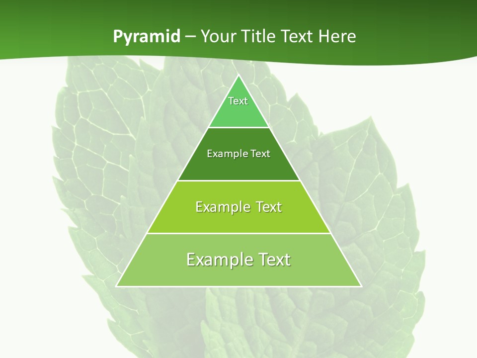 Background Shot Food PowerPoint Template
