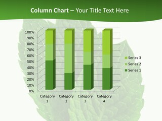 Background Shot Food PowerPoint Template