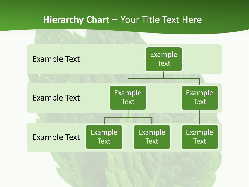 Background Shot Food PowerPoint Template