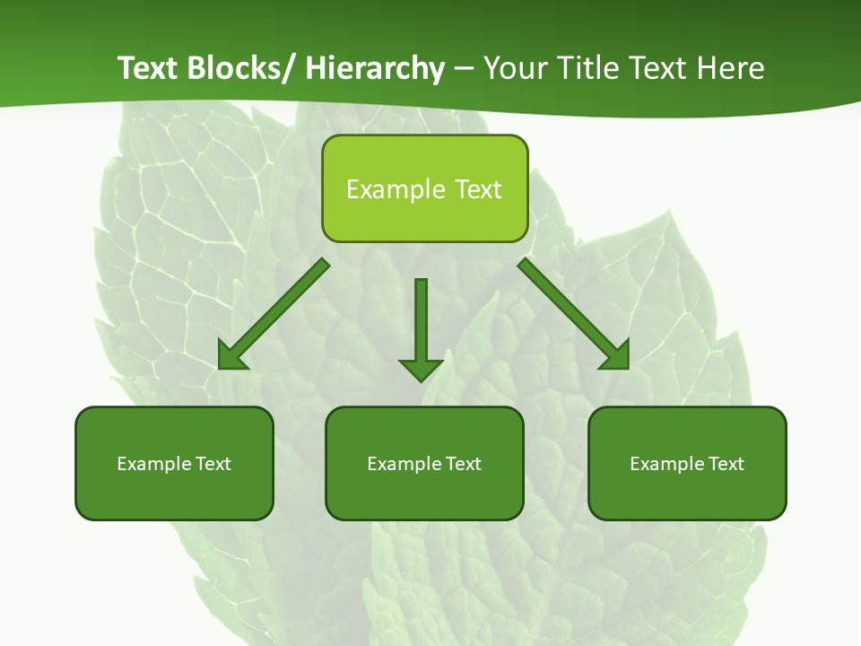 Background Shot Food PowerPoint Template