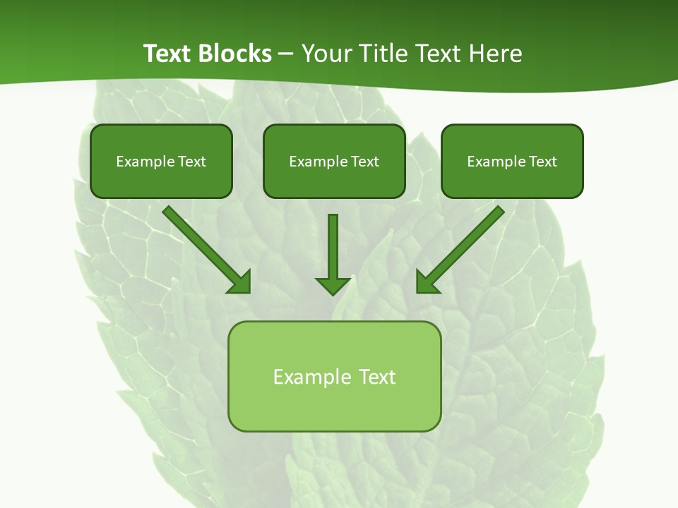 Background Shot Food PowerPoint Template