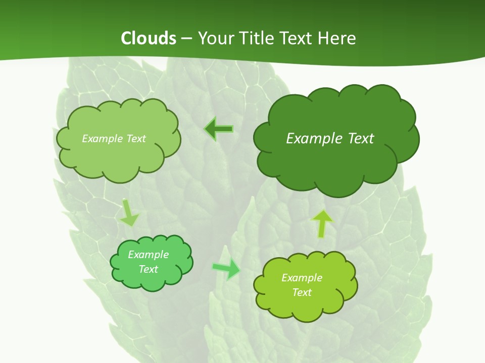 Background Shot Food PowerPoint Template