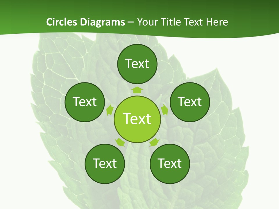 Background Shot Food PowerPoint Template