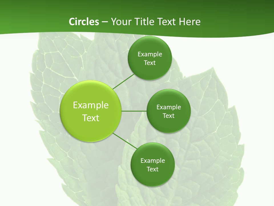 Background Shot Food PowerPoint Template