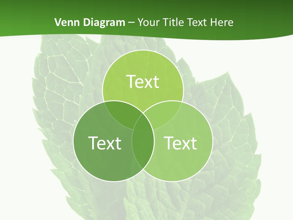 Background Shot Food PowerPoint Template