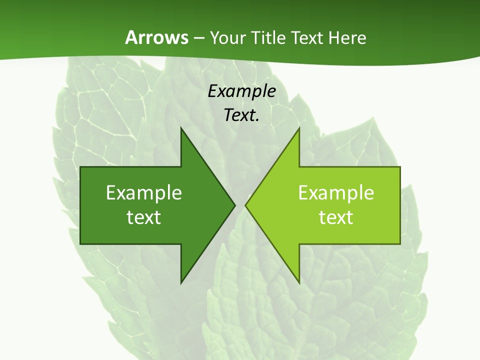 Background Shot Food PowerPoint Template