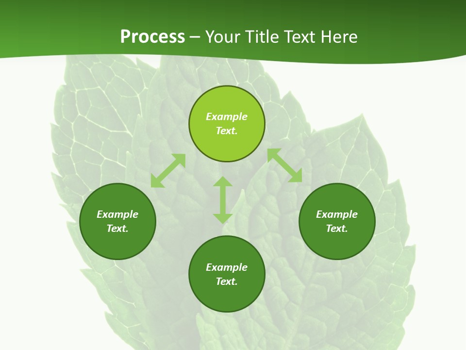 Background Shot Food PowerPoint Template
