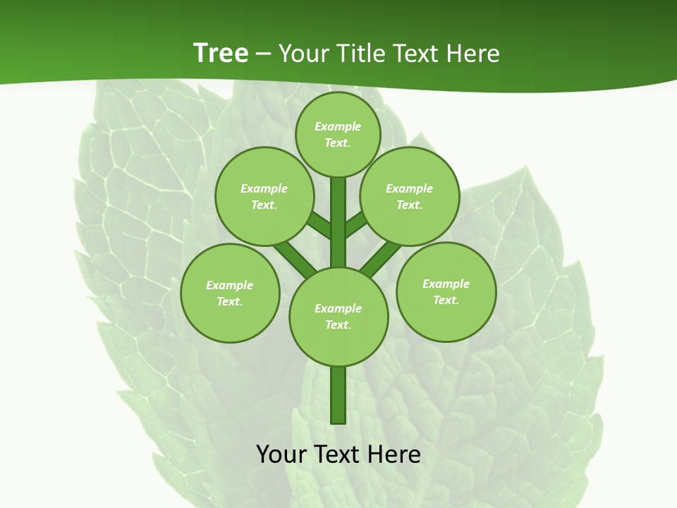 Background Shot Food PowerPoint Template