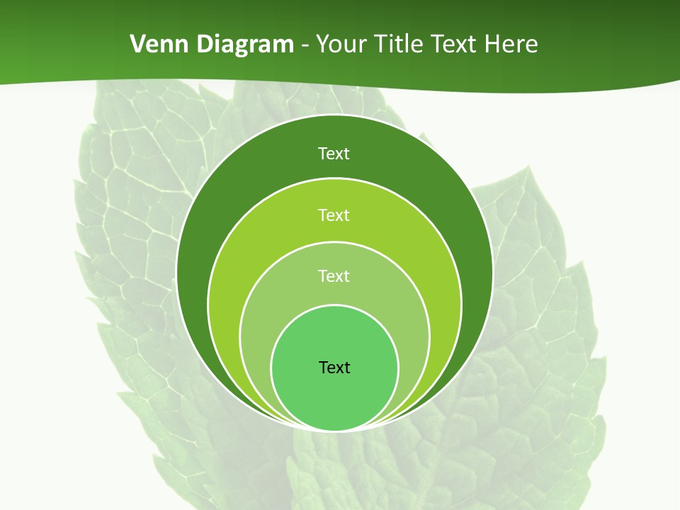 Background Shot Food PowerPoint Template