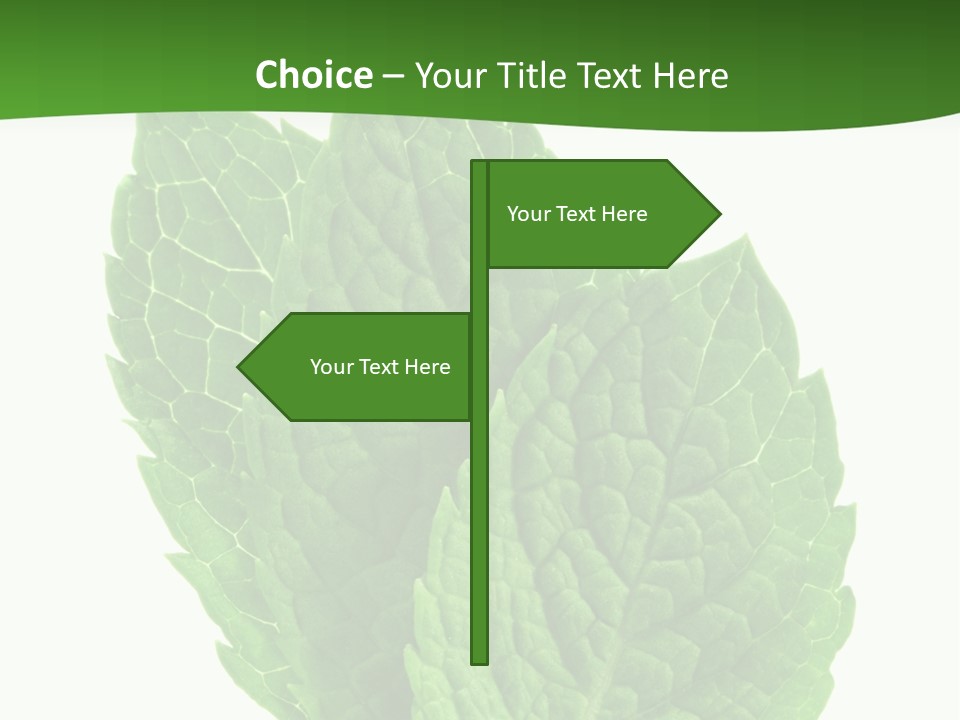 Background Shot Food PowerPoint Template