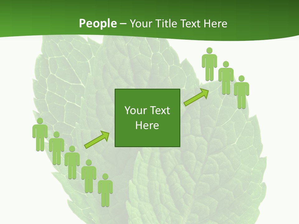 Background Shot Food PowerPoint Template