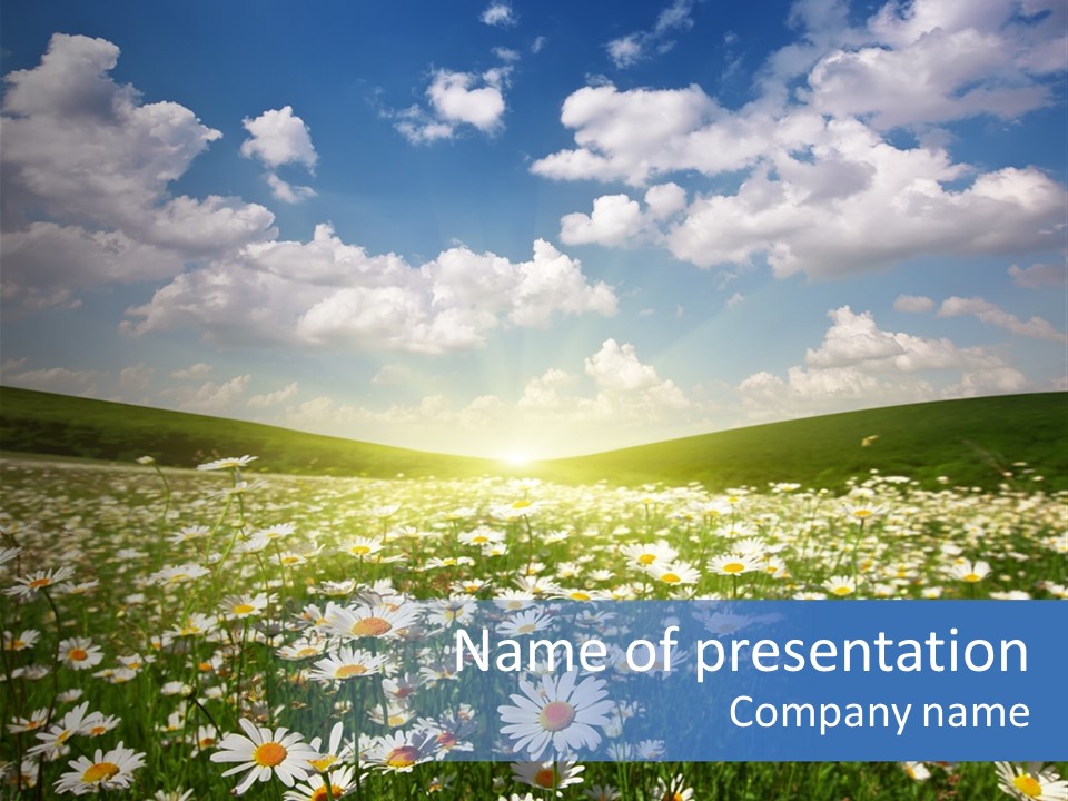 Blue Camomile Scenic PowerPoint Template