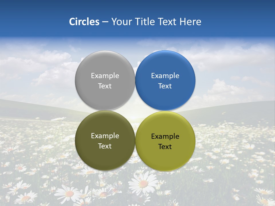 Blue Camomile Scenic PowerPoint Template