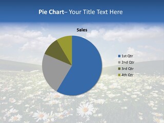 Blue Camomile Scenic PowerPoint Template