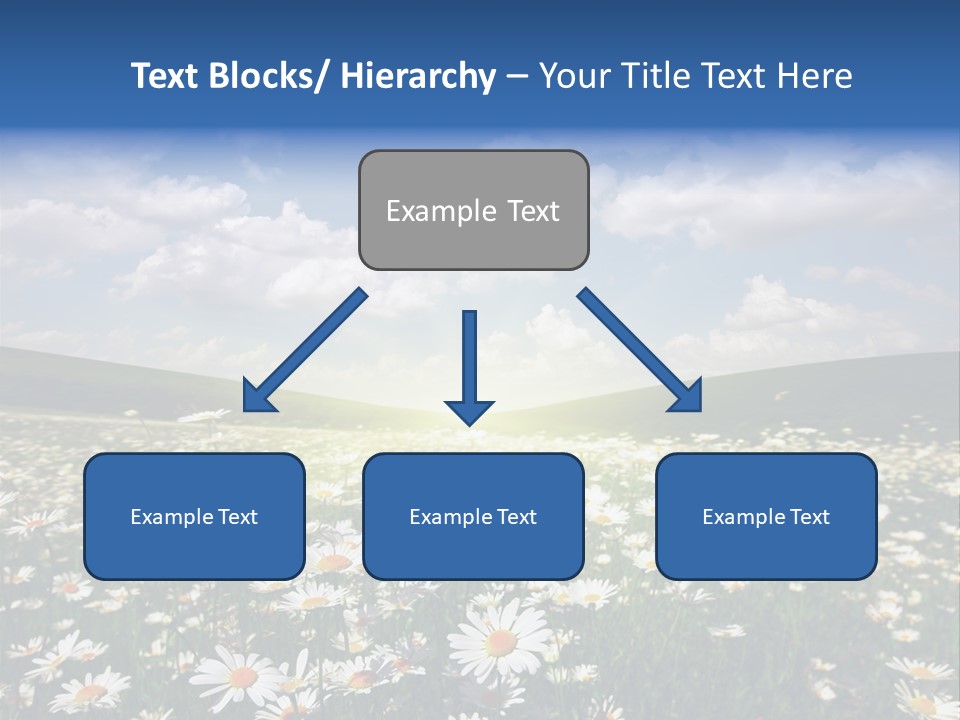 Blue Camomile Scenic PowerPoint Template