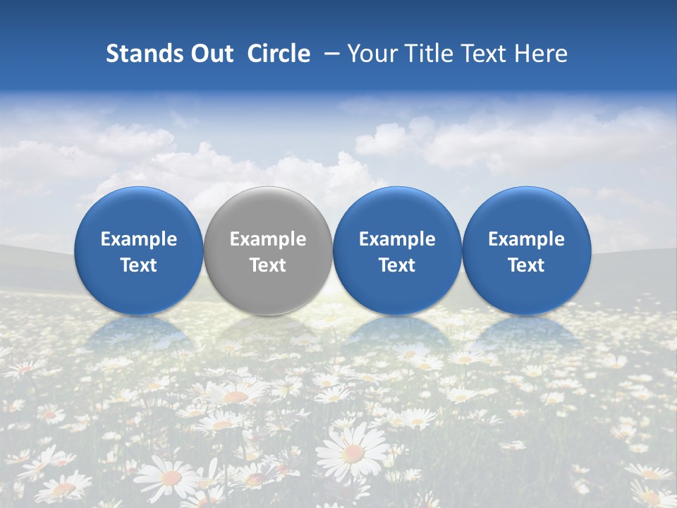 Blue Camomile Scenic PowerPoint Template