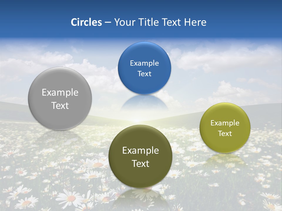 Blue Camomile Scenic PowerPoint Template