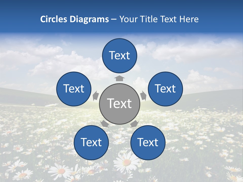 Blue Camomile Scenic PowerPoint Template