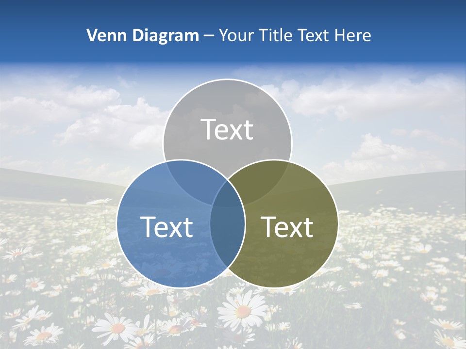 Blue Camomile Scenic PowerPoint Template