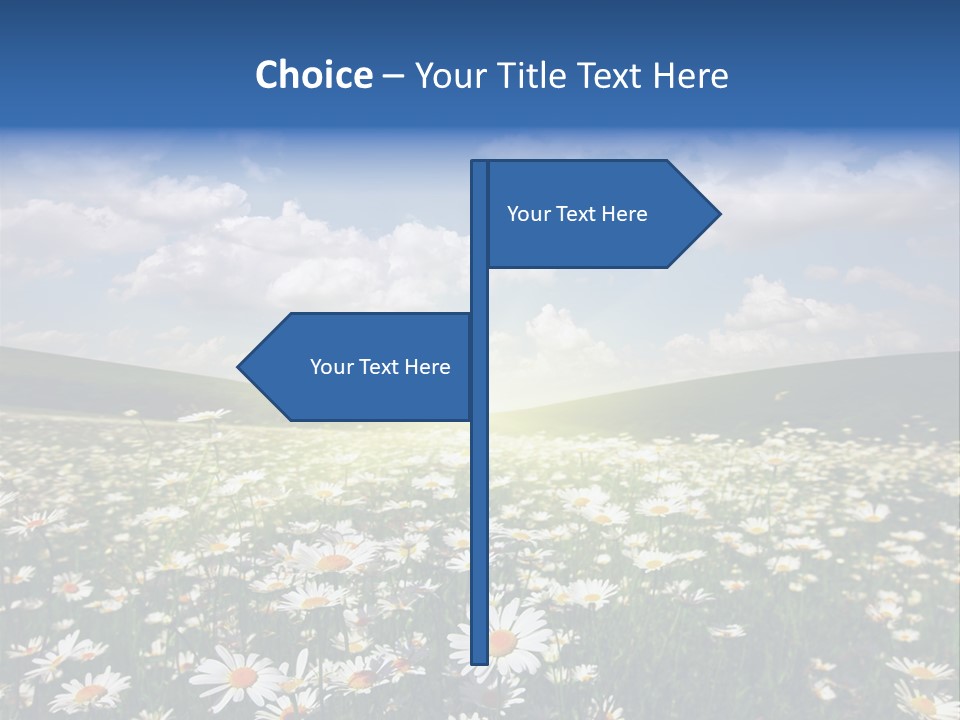 Blue Camomile Scenic PowerPoint Template