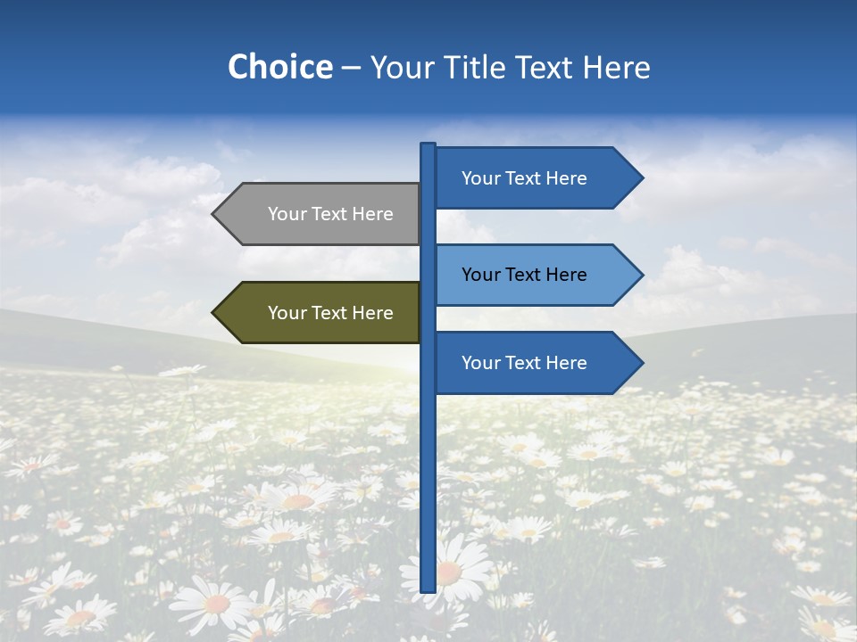 Blue Camomile Scenic PowerPoint Template