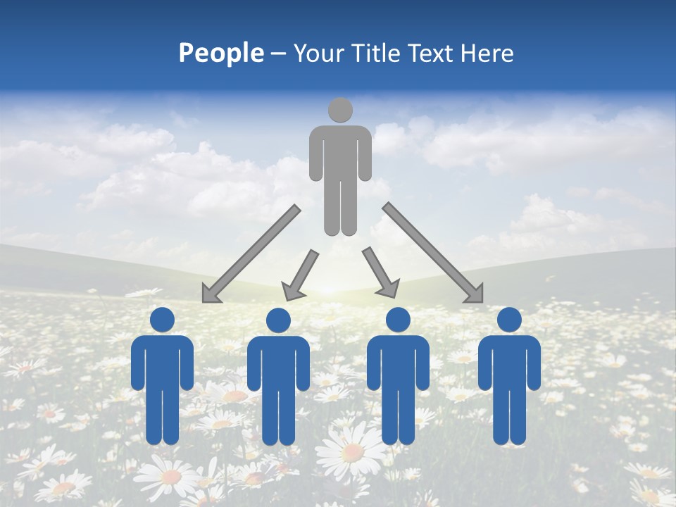 Blue Camomile Scenic PowerPoint Template