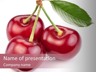 Nature Perfect Berry PowerPoint Template