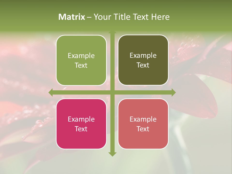 Drops Blooming Fresh PowerPoint Template