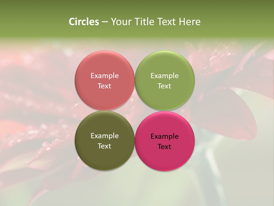 Drops Blooming Fresh PowerPoint Template