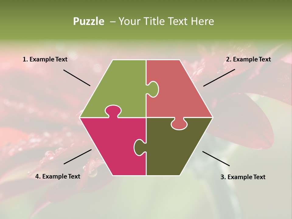 Drops Blooming Fresh PowerPoint Template