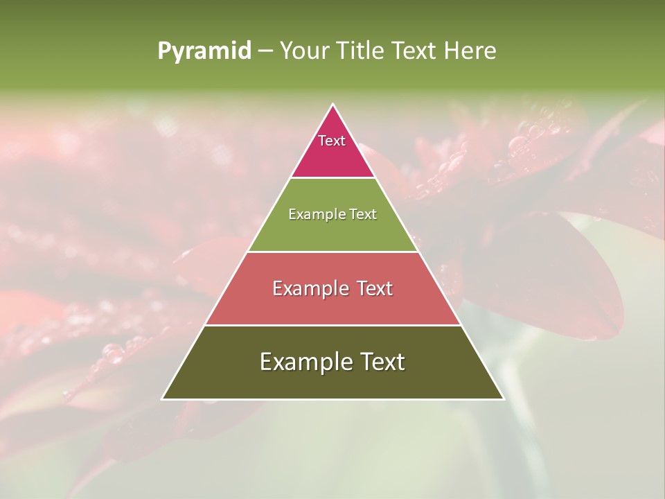 Drops Blooming Fresh PowerPoint Template