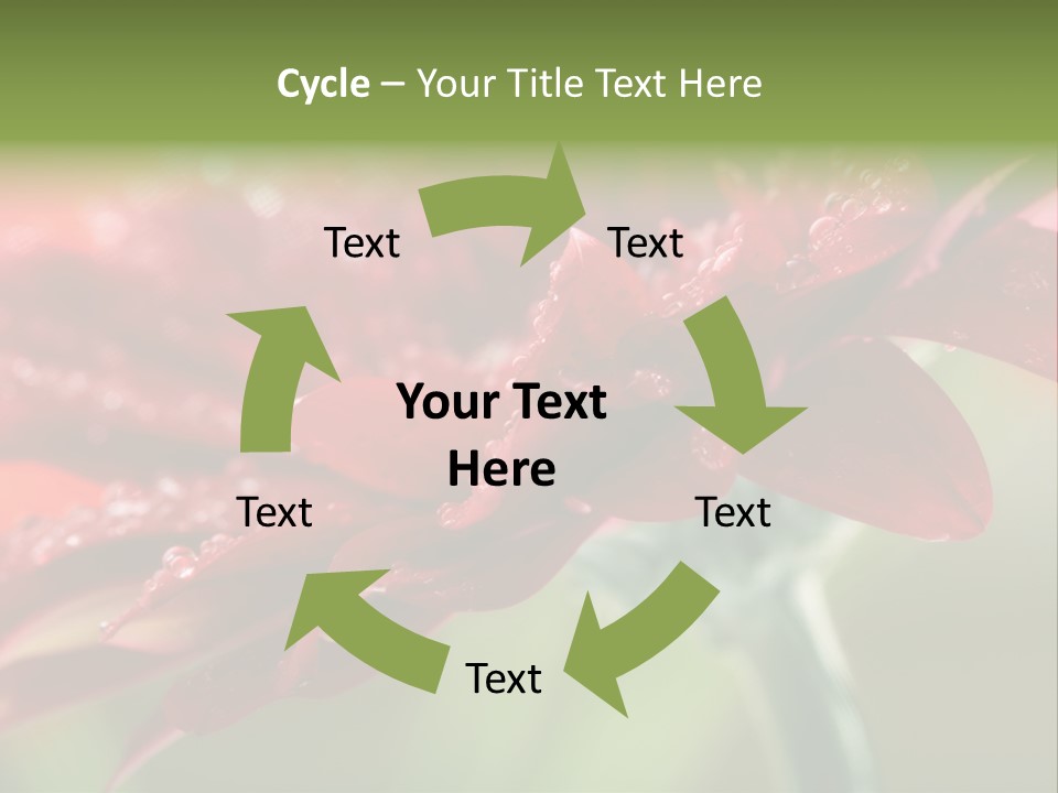 Drops Blooming Fresh PowerPoint Template
