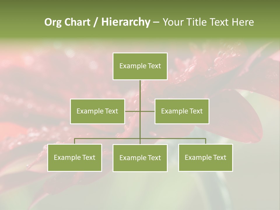 Drops Blooming Fresh PowerPoint Template