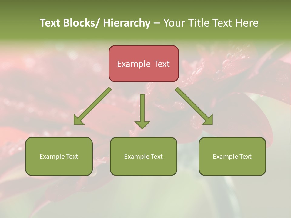 Drops Blooming Fresh PowerPoint Template