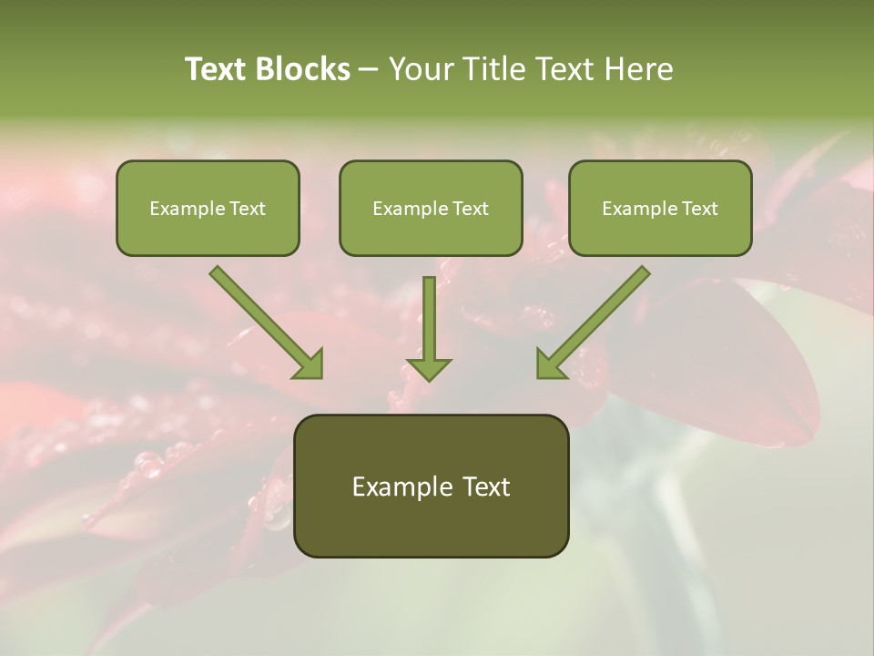 Drops Blooming Fresh PowerPoint Template