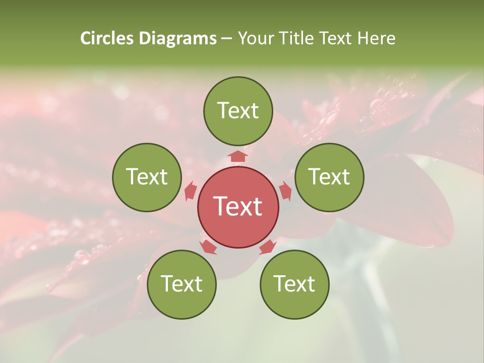 Drops Blooming Fresh PowerPoint Template