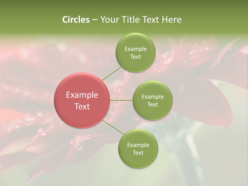 Drops Blooming Fresh PowerPoint Template