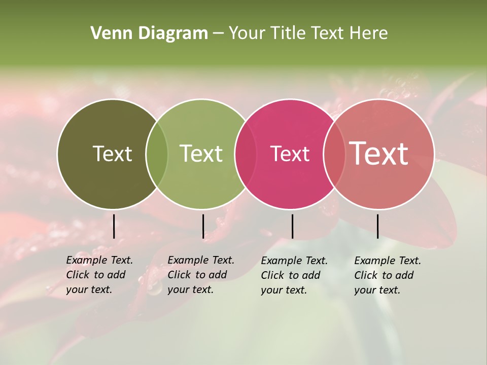 Drops Blooming Fresh PowerPoint Template