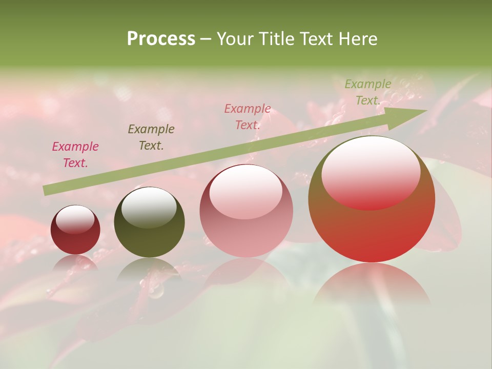 Drops Blooming Fresh PowerPoint Template