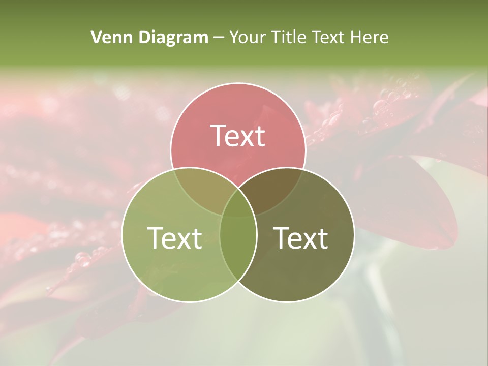 Drops Blooming Fresh PowerPoint Template