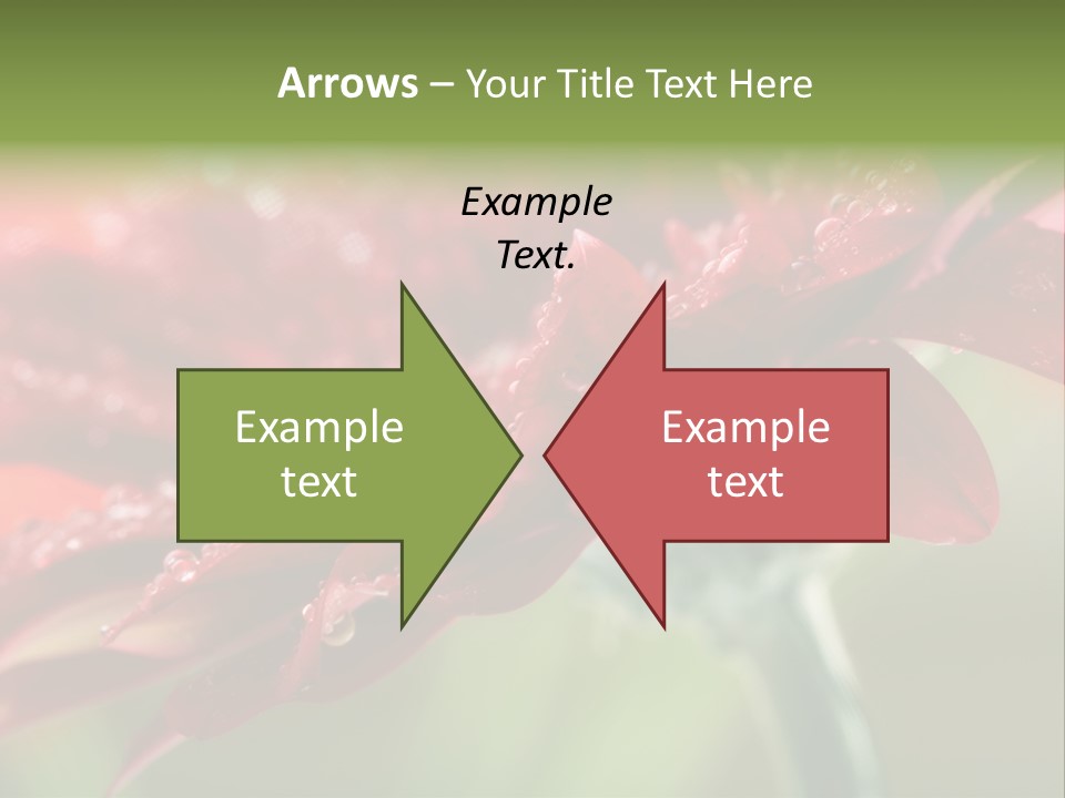 Drops Blooming Fresh PowerPoint Template