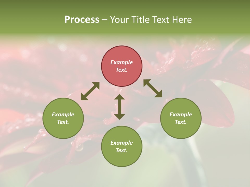 Drops Blooming Fresh PowerPoint Template