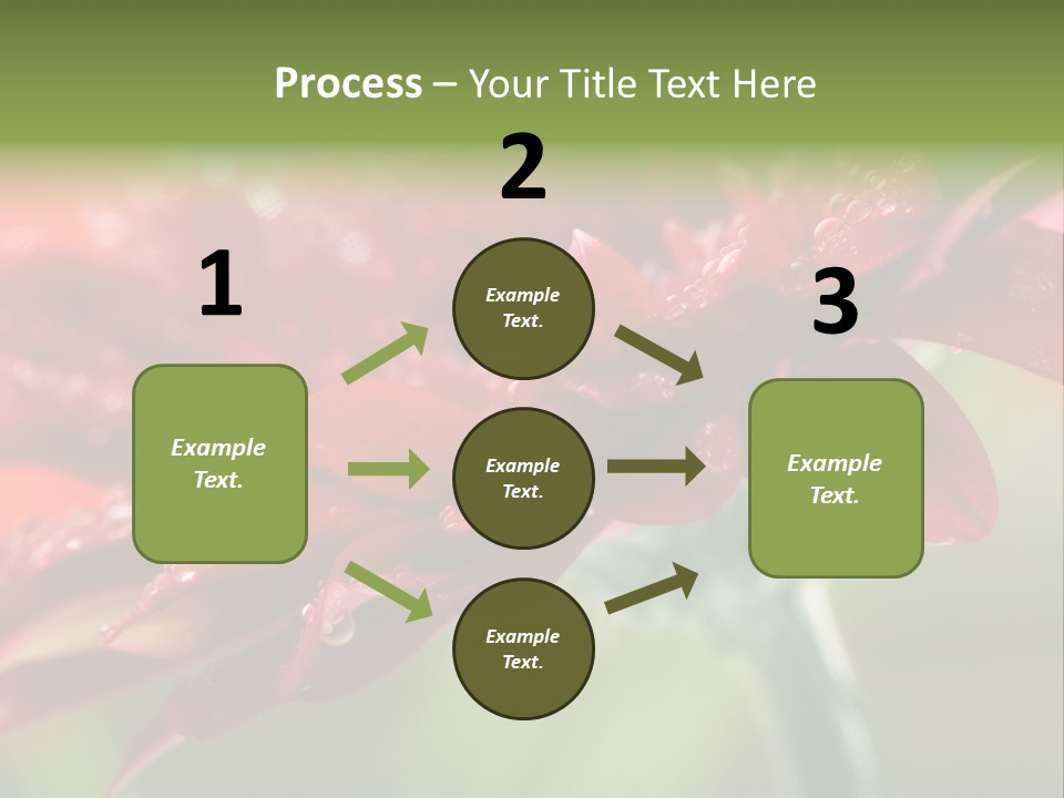 Drops Blooming Fresh PowerPoint Template